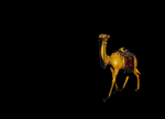 Picture of Handicraft0011