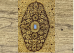 Picture of carpet0012