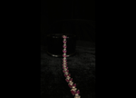 Picture of jewellery-025