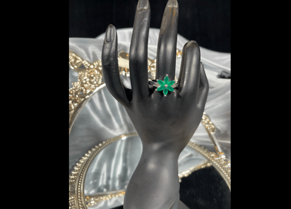 Picture of Jewellery-044