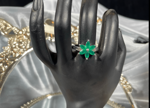 Picture of Jewellery-044