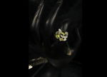 Picture of Jewellery-051