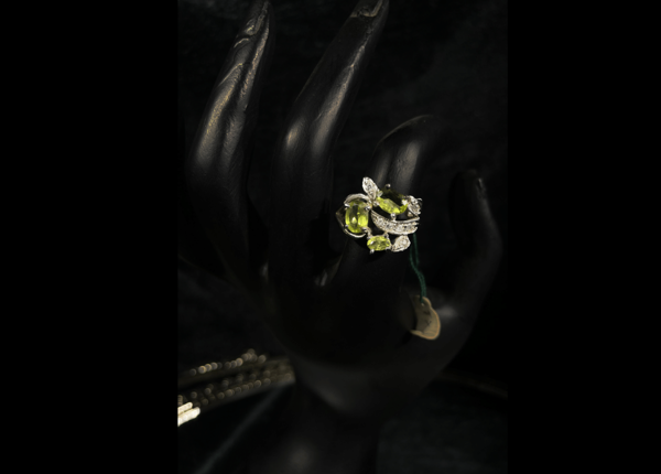 Picture of Jewellery-051