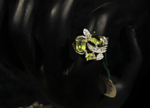 Picture of Jewellery-051