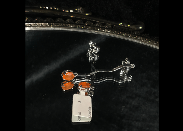 Picture of Jewellery-056
