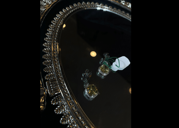 Picture of Jewellery-064